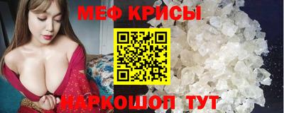 гашик Шелехов