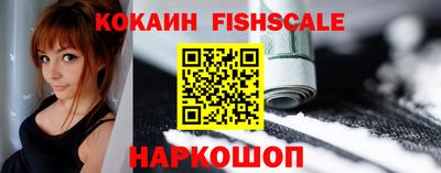 гашик Шелехов