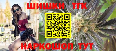 гашик Шелехов