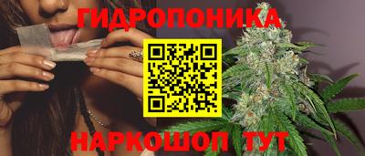 твердый Шебекино