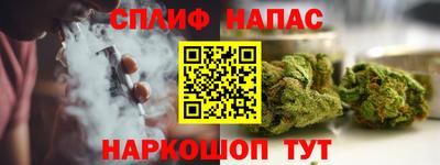 гашик Шелехов