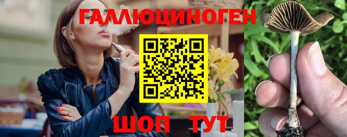 Гашиш  Конопля  LSD-25  Выборг  Мефедрон   Вход с VPN 