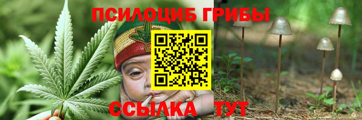 Псилоцибиновые грибы Magic Shrooms  Псилоцибиновые грибы мицелий  Вход с VPN  Выборг 